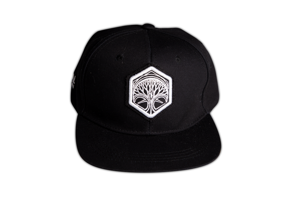 Gorra clasica FD