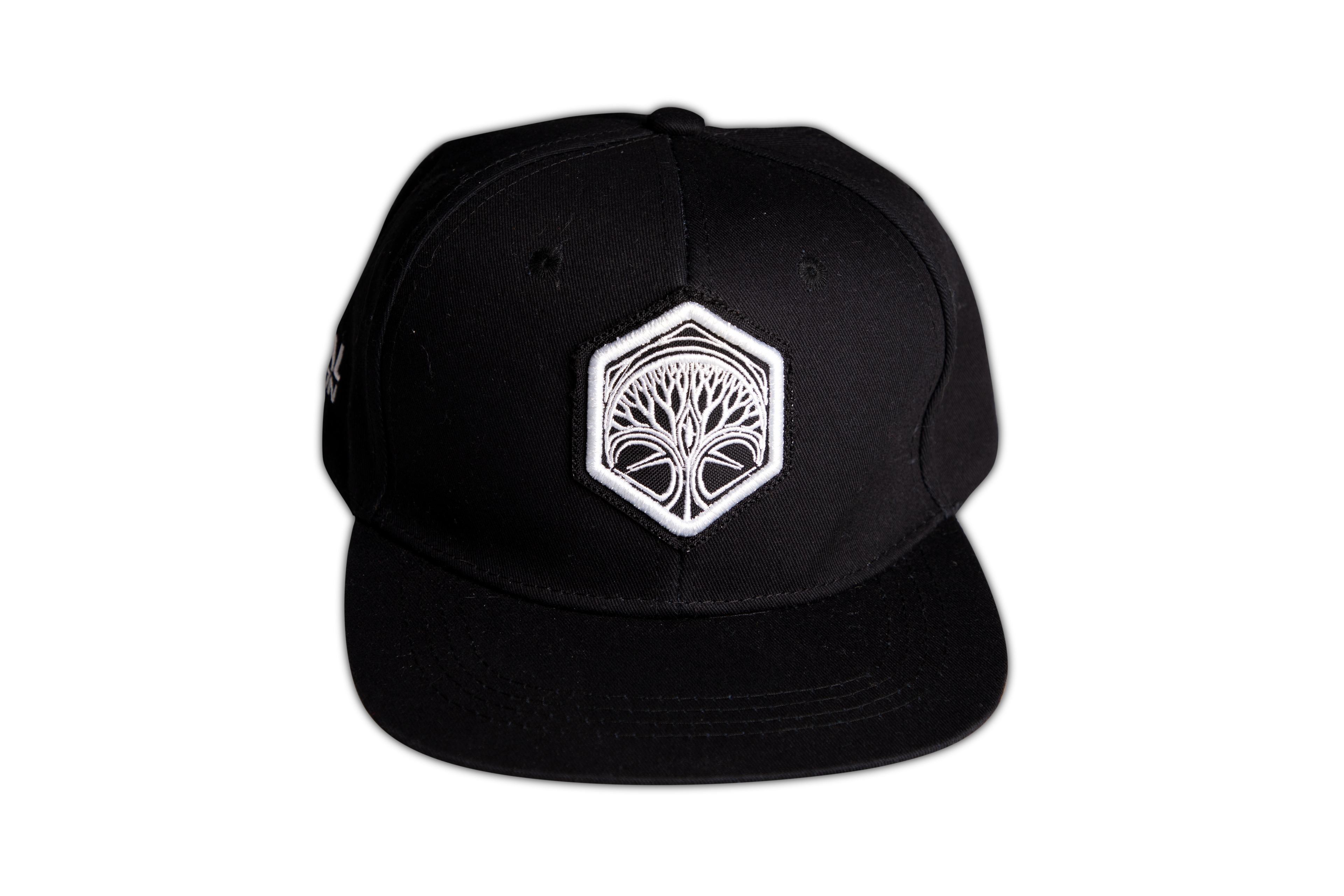 Gorra clasica FD