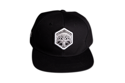 Gorra clasica FD