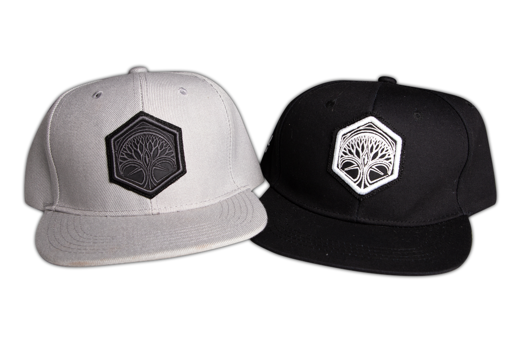 Gorra clasica FD